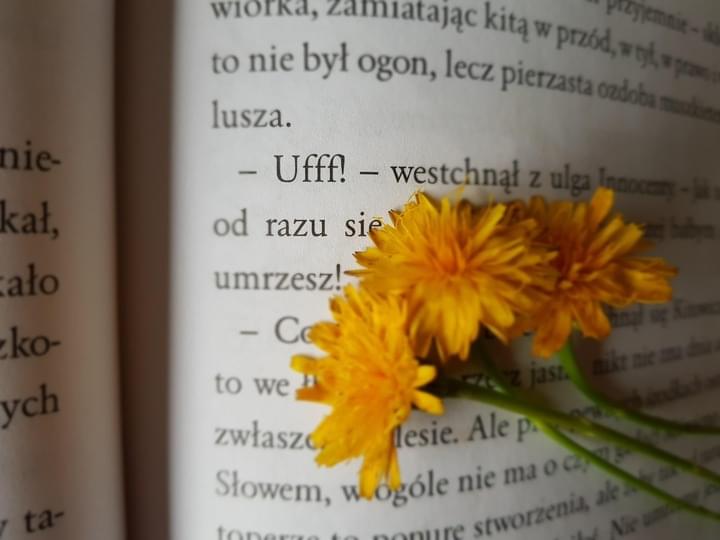 zdjęcie z książki